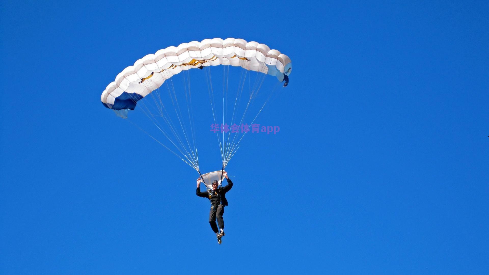 华体会体育|大西洋对决巅峰之战，Rogue战队强势捧杯，斩获四万美金荣耀